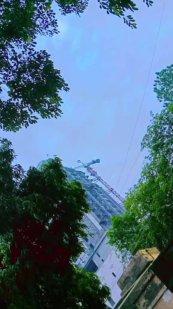 @بادشاہ لوگ