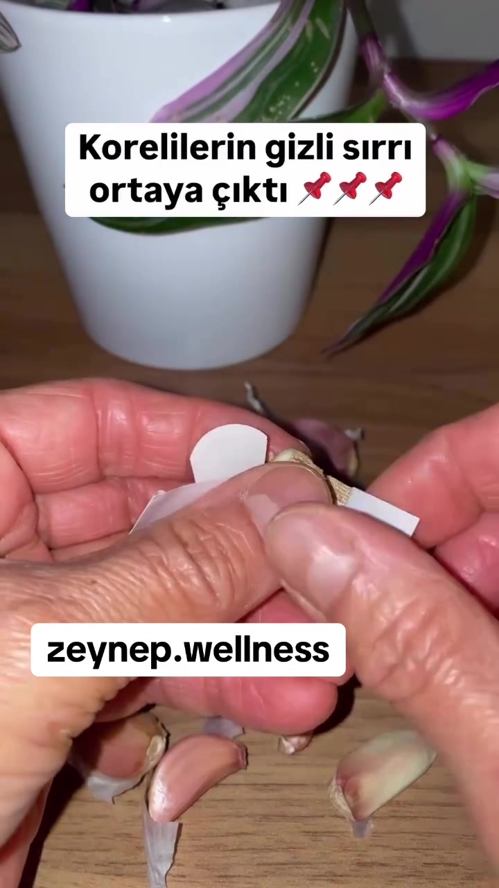 @zeynepwellness