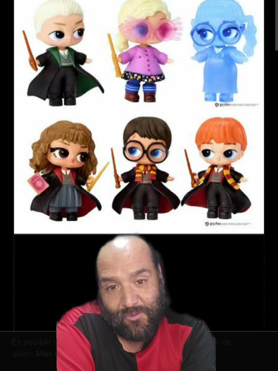 @harrypotterhunterchile