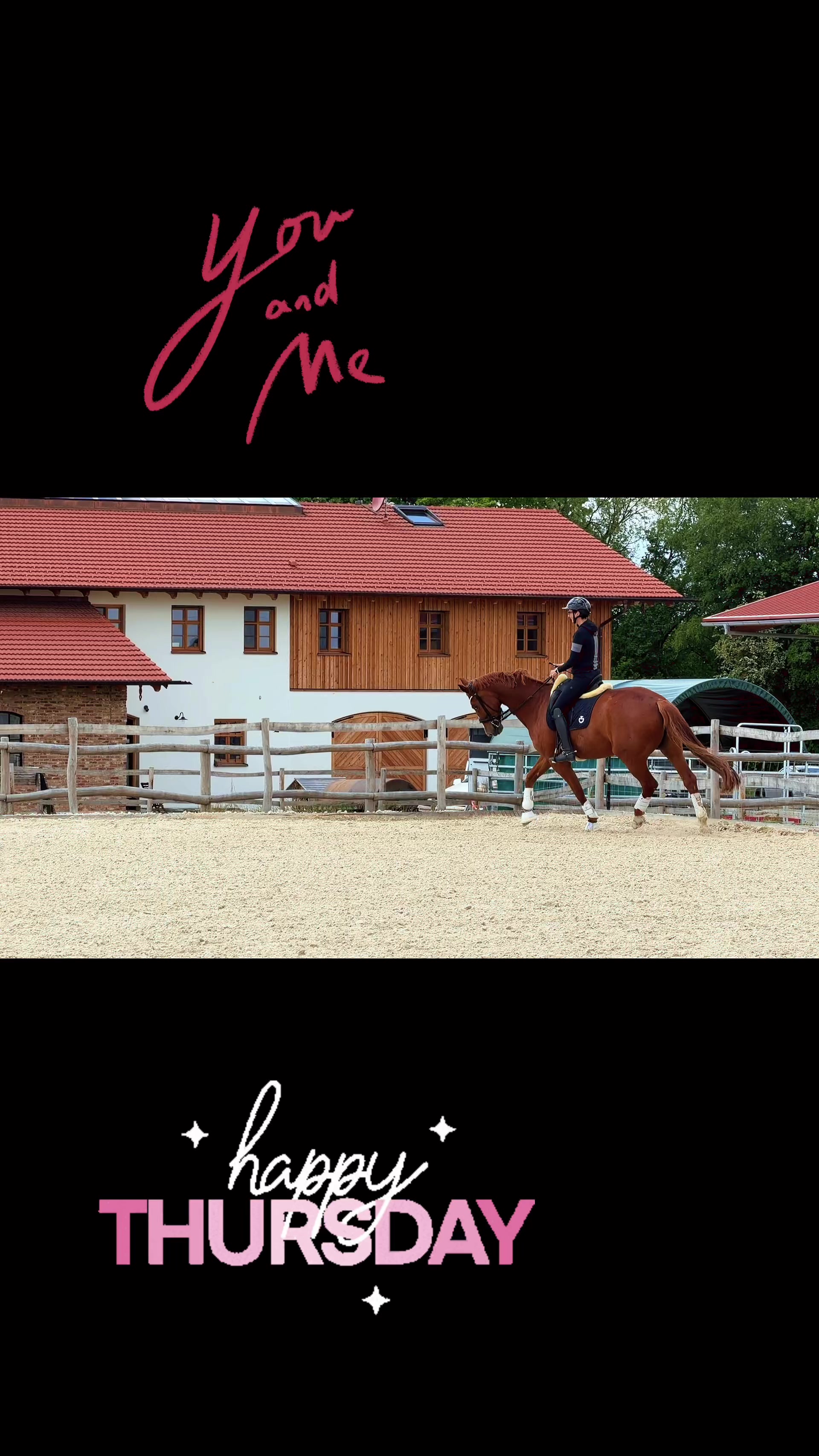@Simbim & Friends 🐴🐕