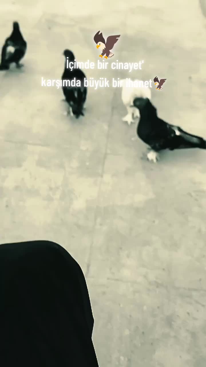 @HEVAL_72🗽