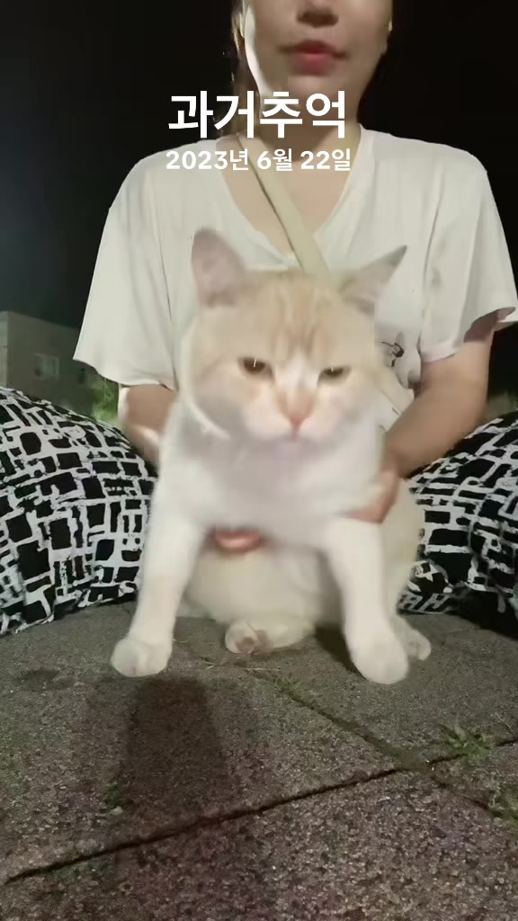 @샤머호