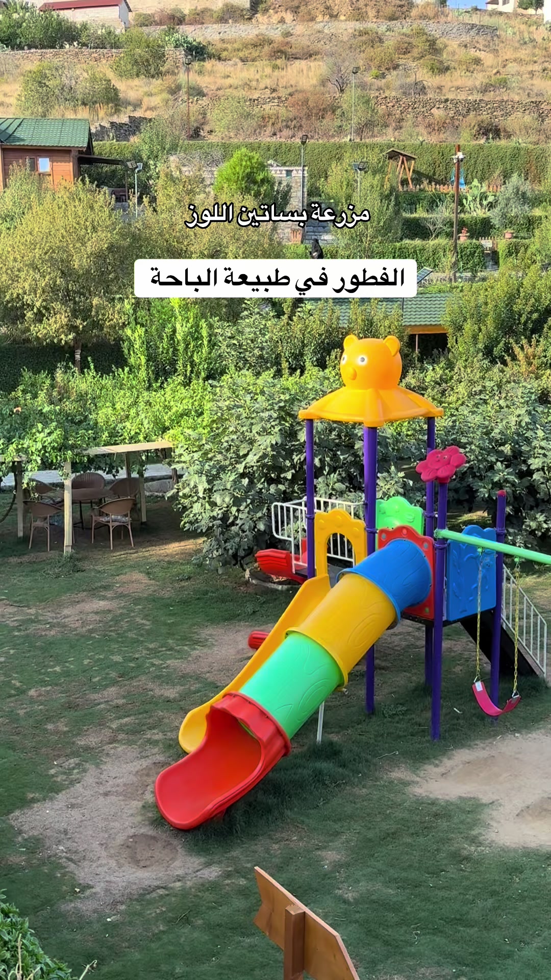 @محمد الشحي ✈️🇦🇪