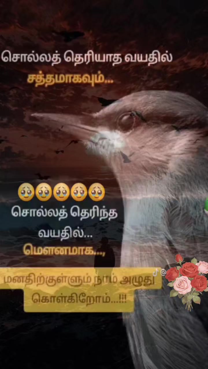 @janu