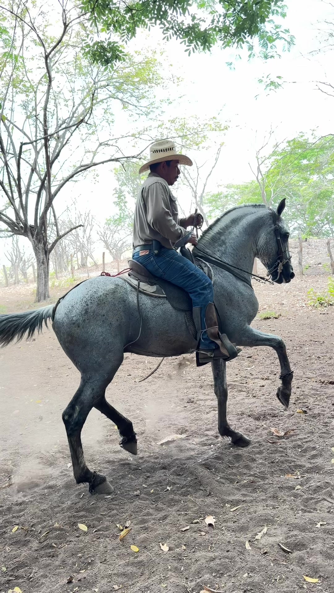 @Onell G. Henríquez
