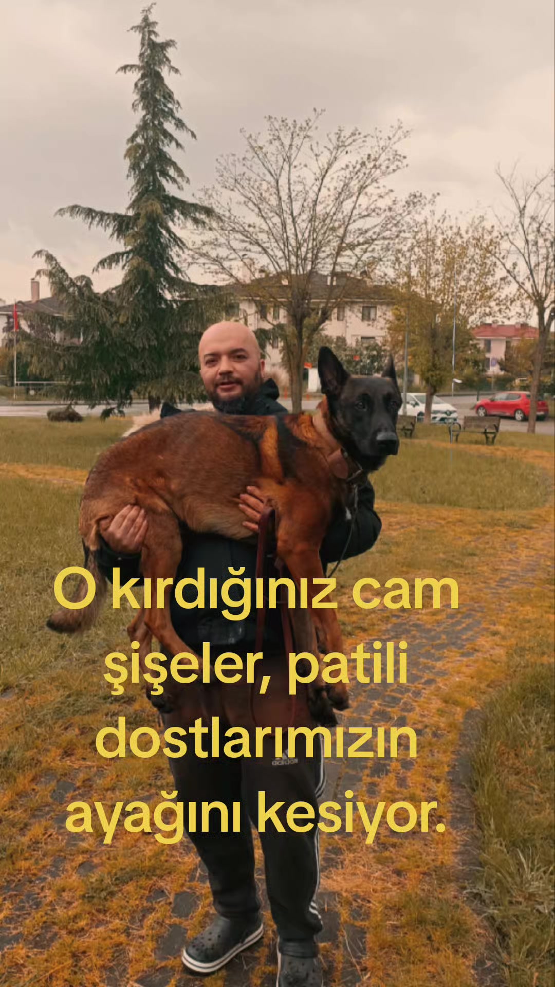 @Mustafa Akyel