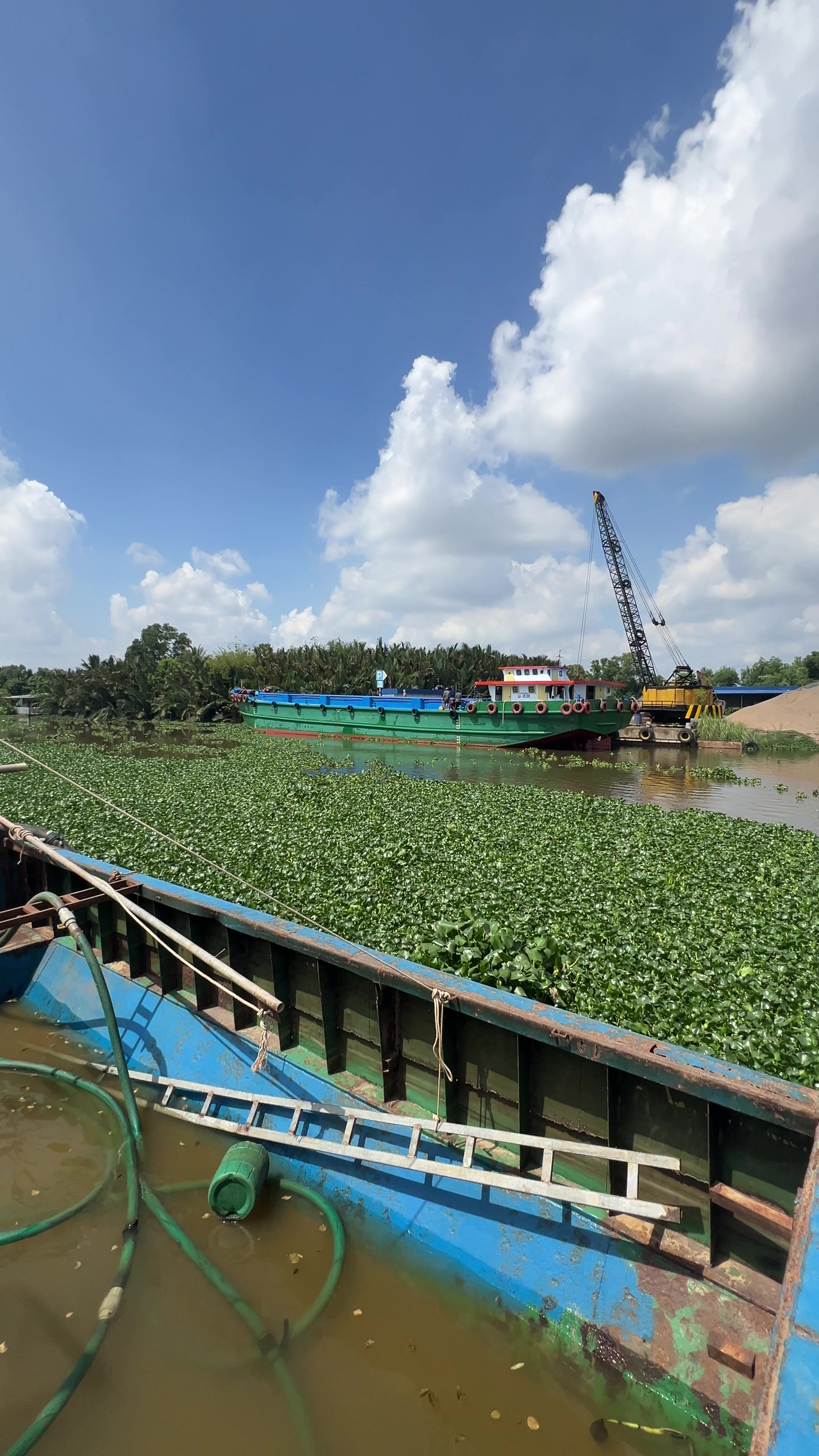 @Vương Minh Vương