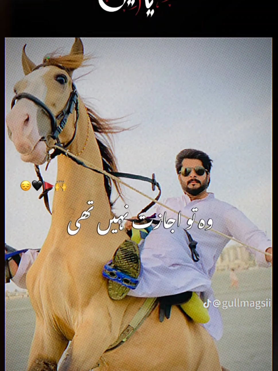 @Gull Hisbaani