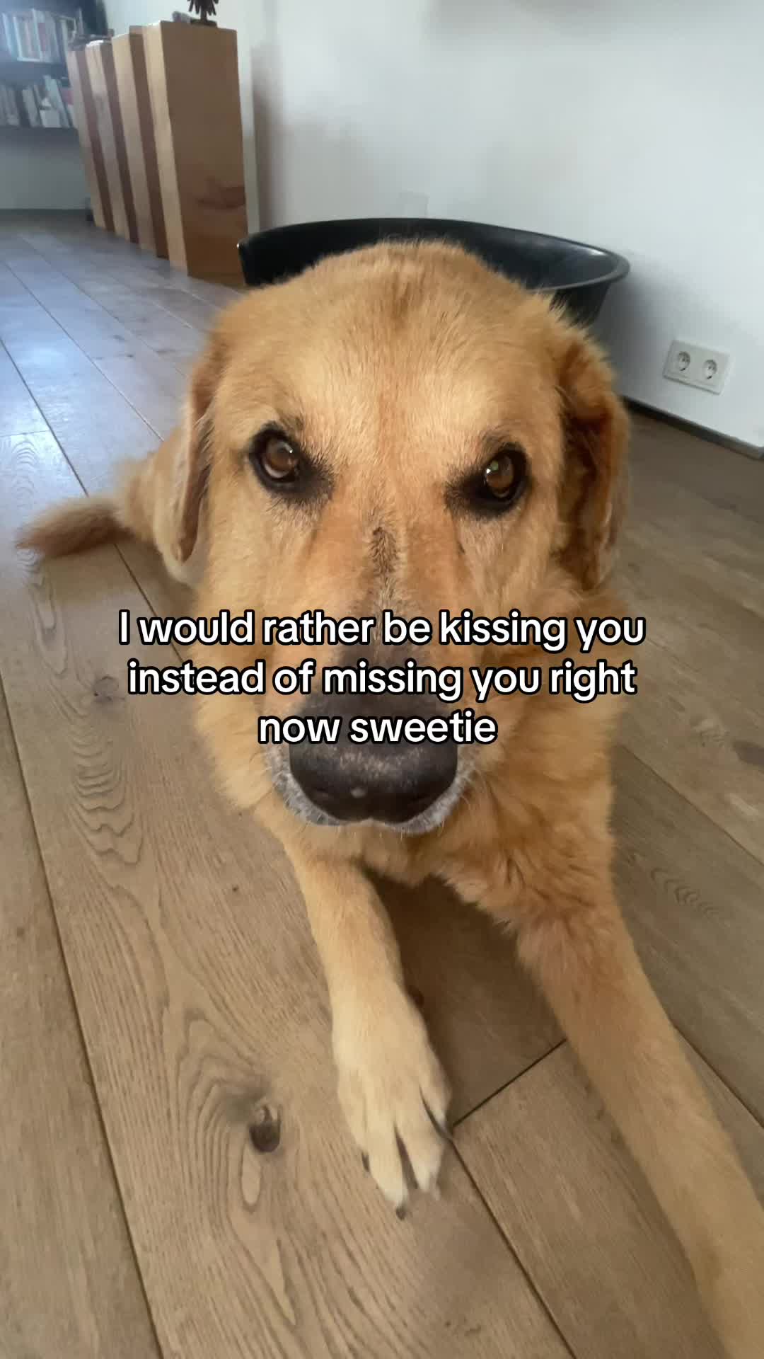 @Neo