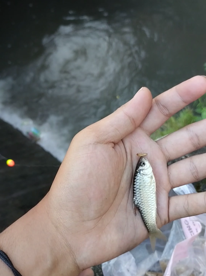@Mencoba Mancing