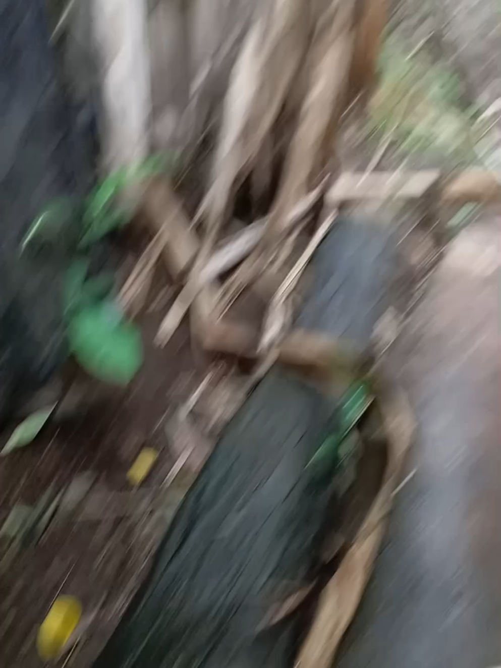 @aji dwiki