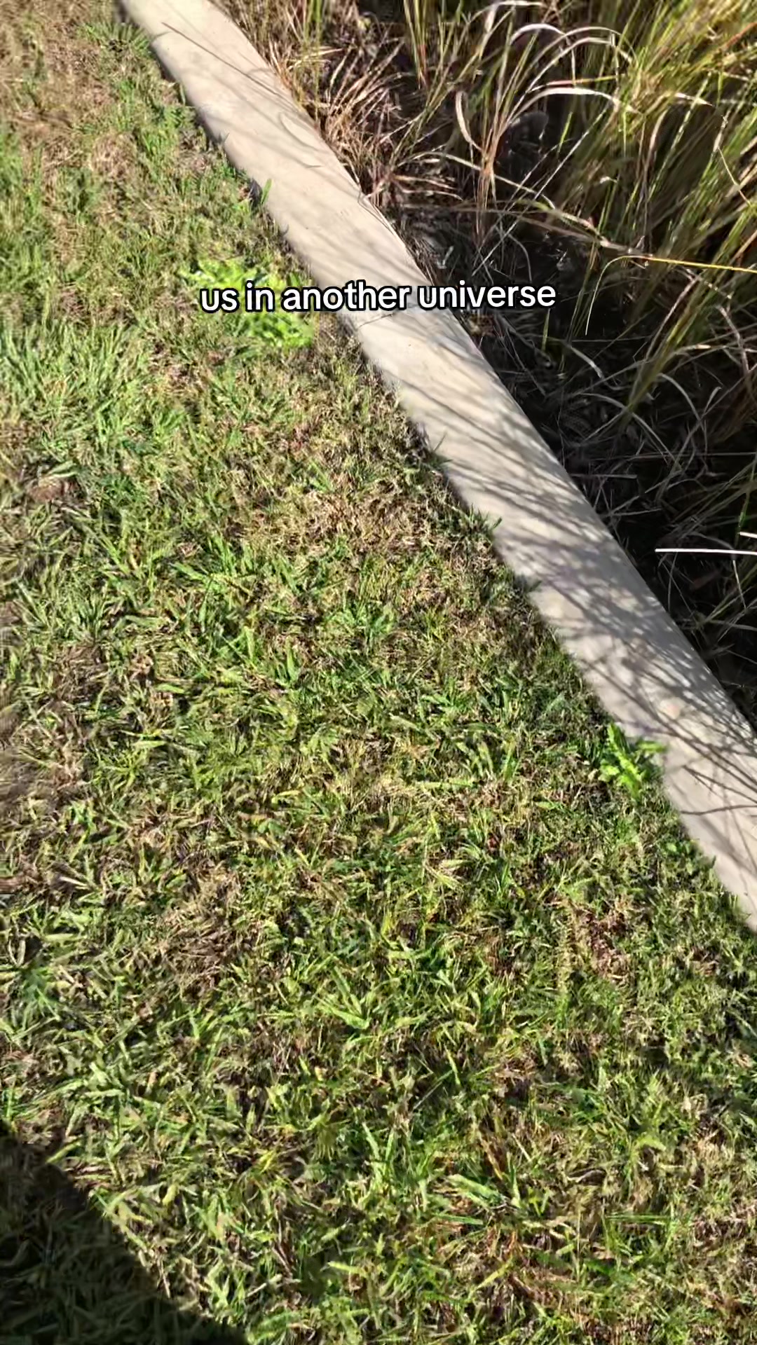 @𖦹𝕔𝕙𝕖𝕨𝕪✮𝕗𝕚𝕫𝕫𖦹