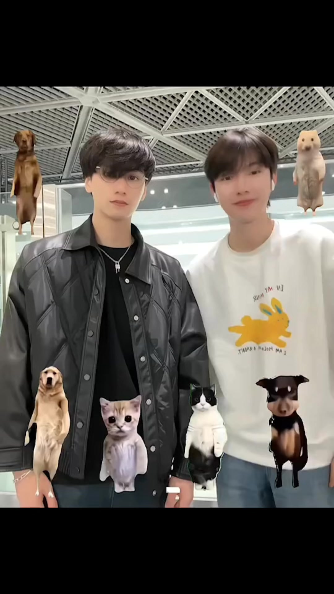 @๐ค๐๐๐๐๐ช๐ท๐๐ญ๐ฒ๐ฝ๐ฒ๐ท๐ฐโจ๏ธ