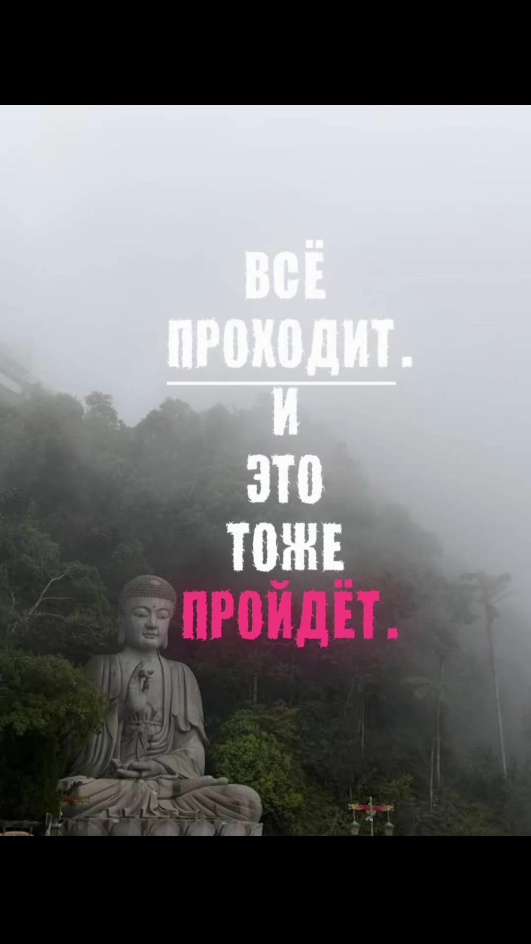 @Пожилой паук