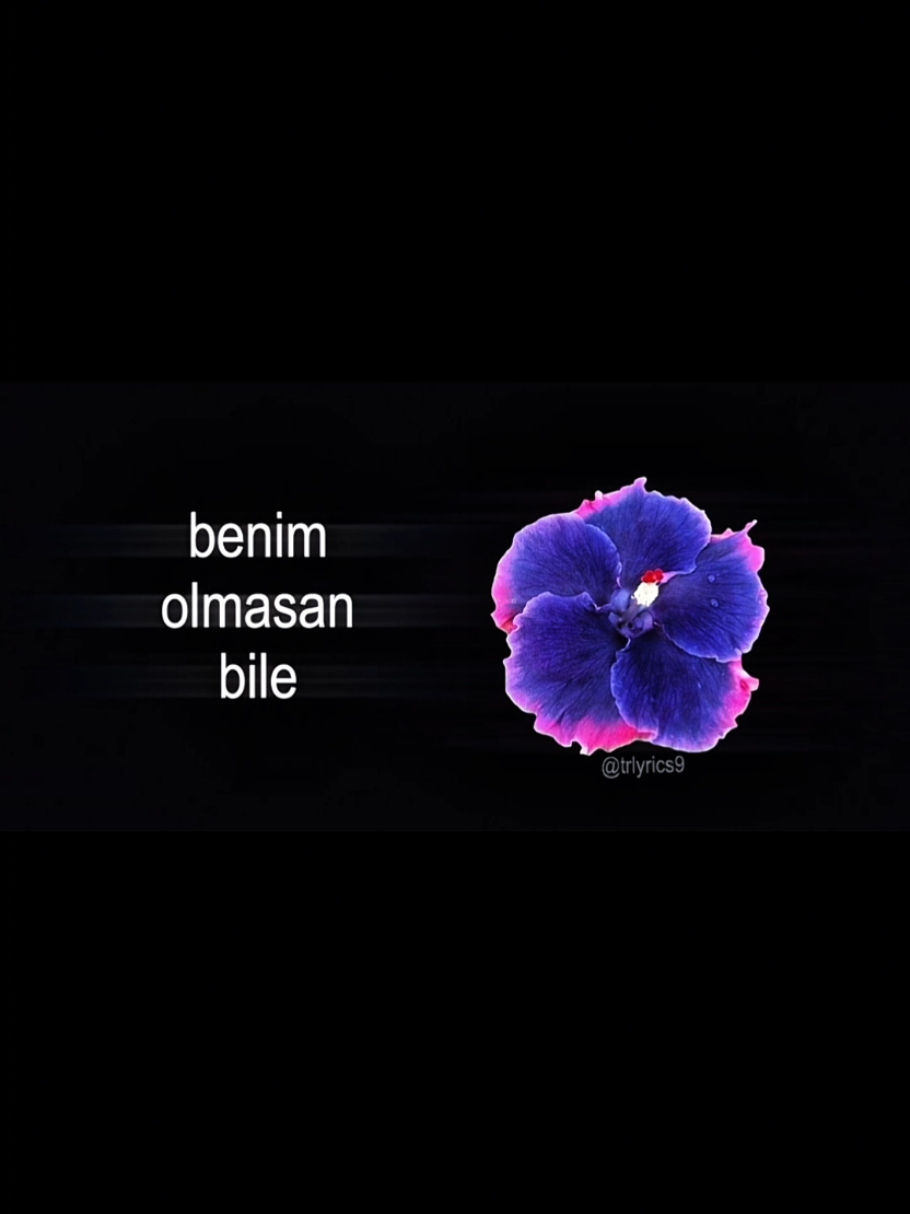 @𝙏𝙍>𝙡𝙮𝙧𝙞𝙘𝙨