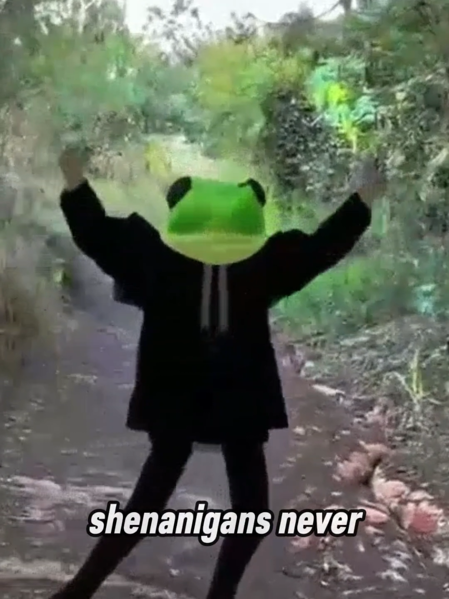 @KOTO THE FROG