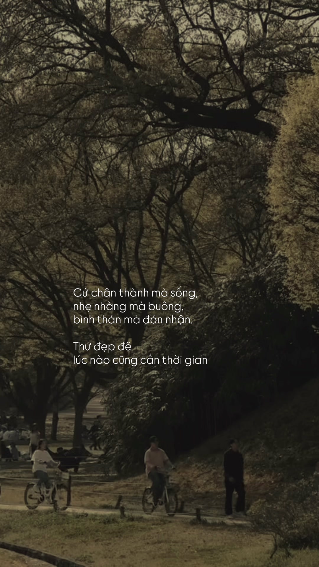 @Người Hiểu Chuyện