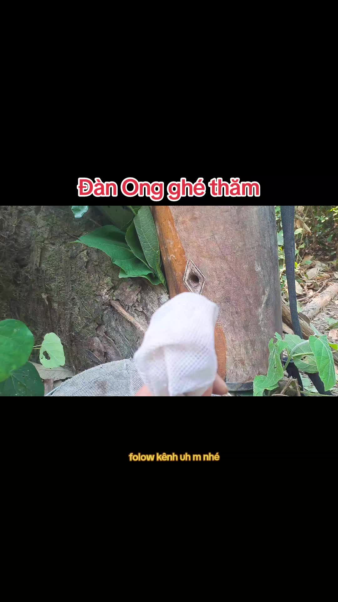@Kết Nối Đam Mê Ong
