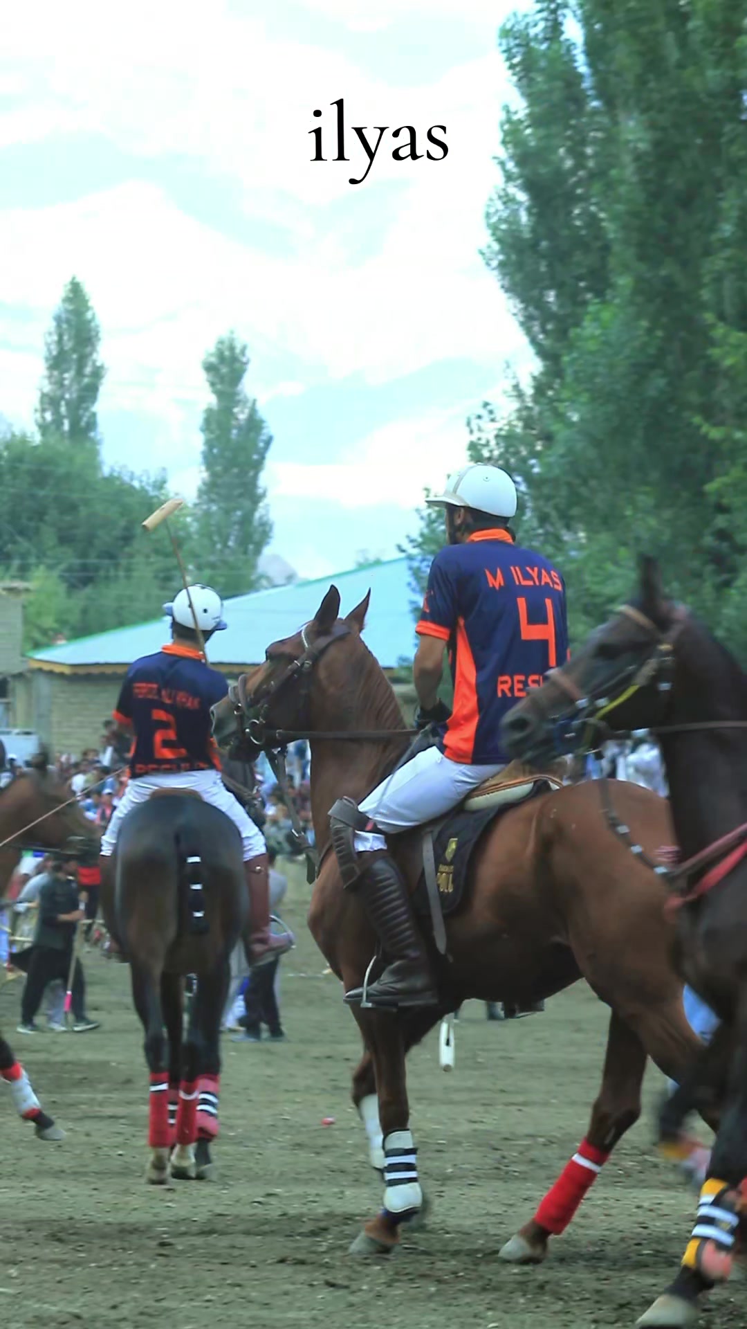 @️POLO ARCHIVE 👀🐴