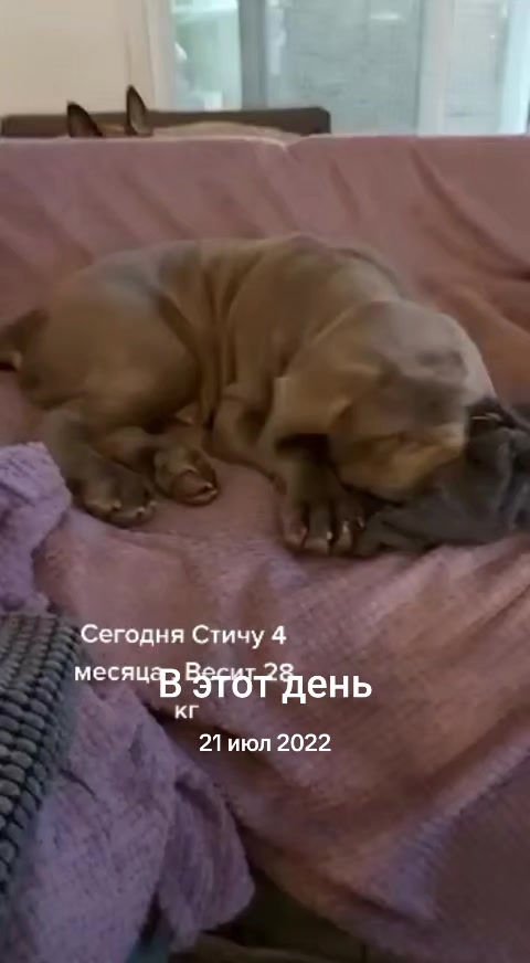 @Владимир