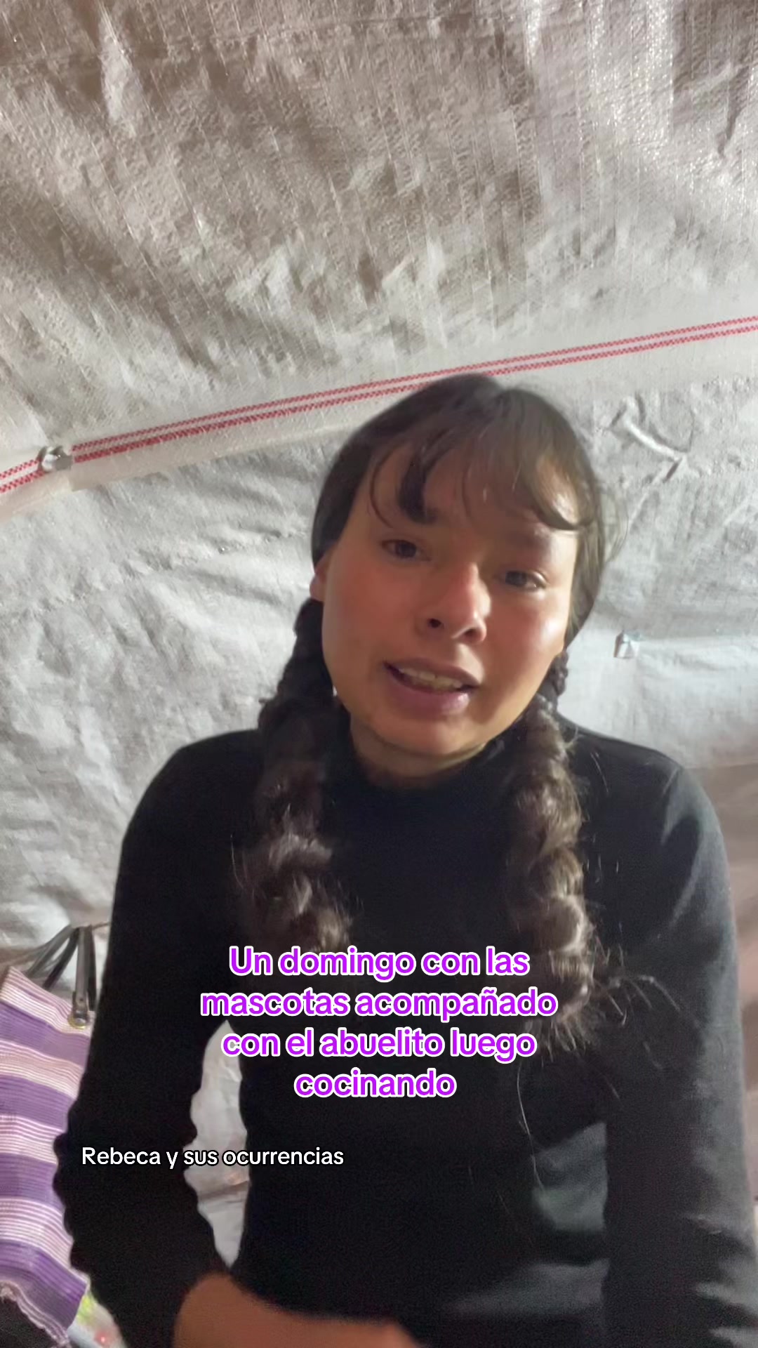 @🐈Rebeca y sus ocurrencias