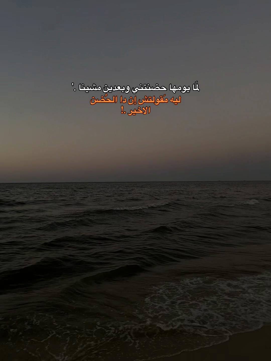 @shahd nassar