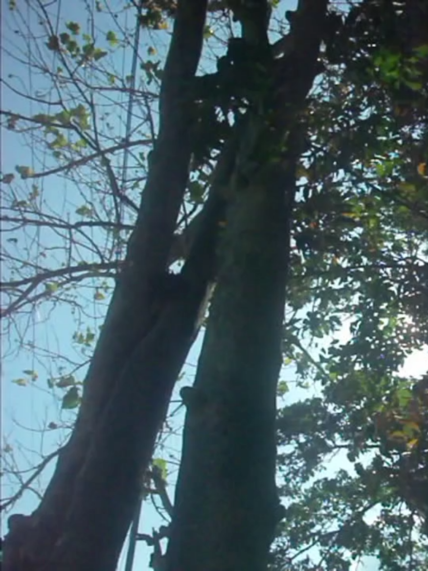 @Springᯓִֶָ࣪☾.