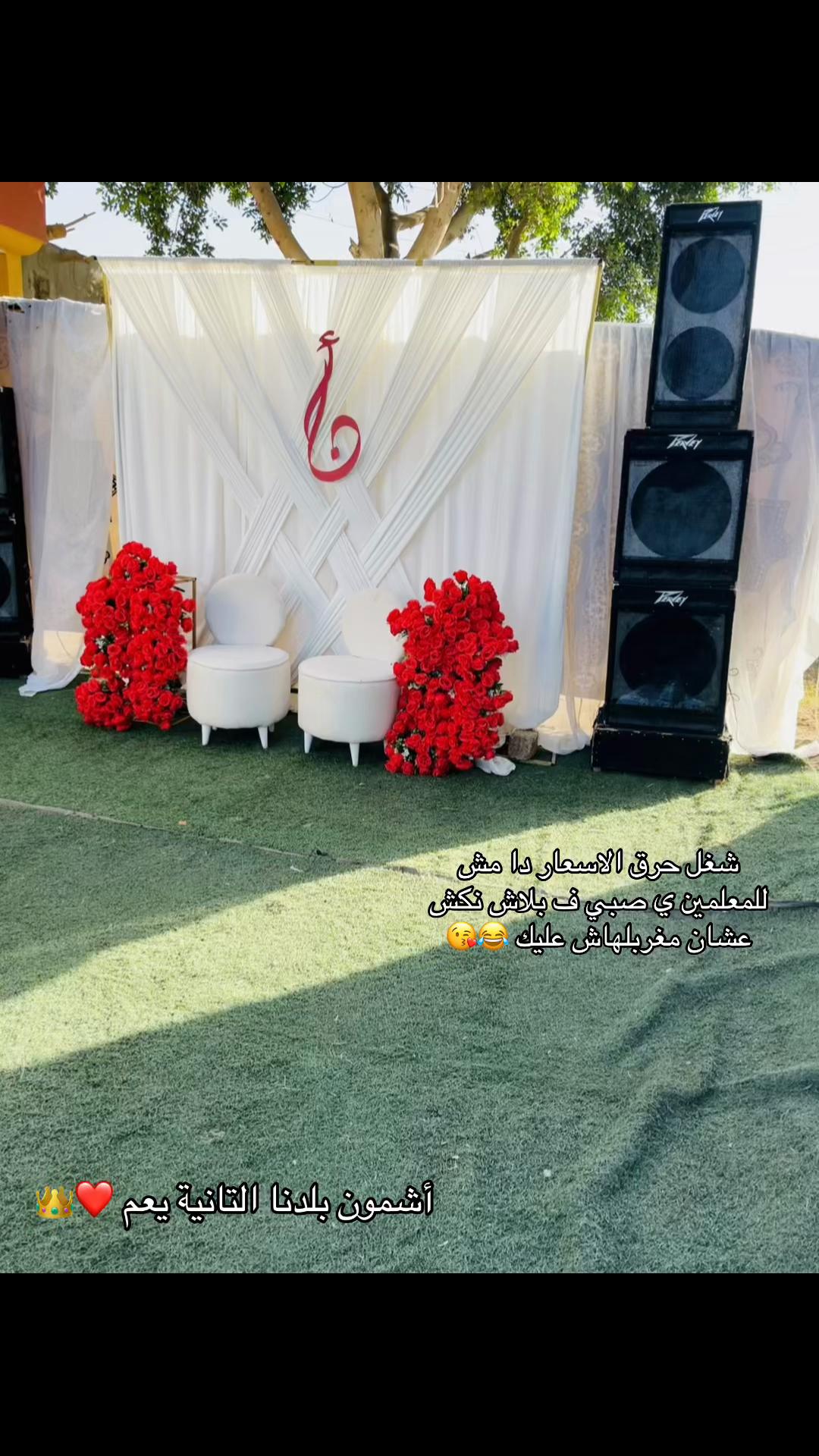 @Farh younis wp🦌