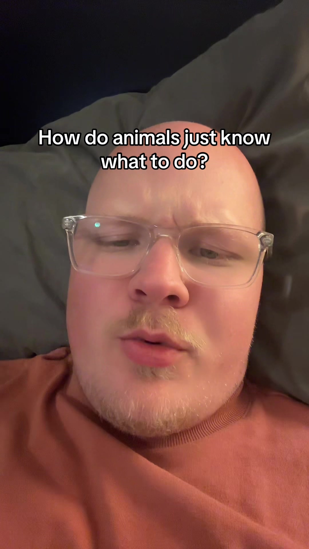 @glitsxo