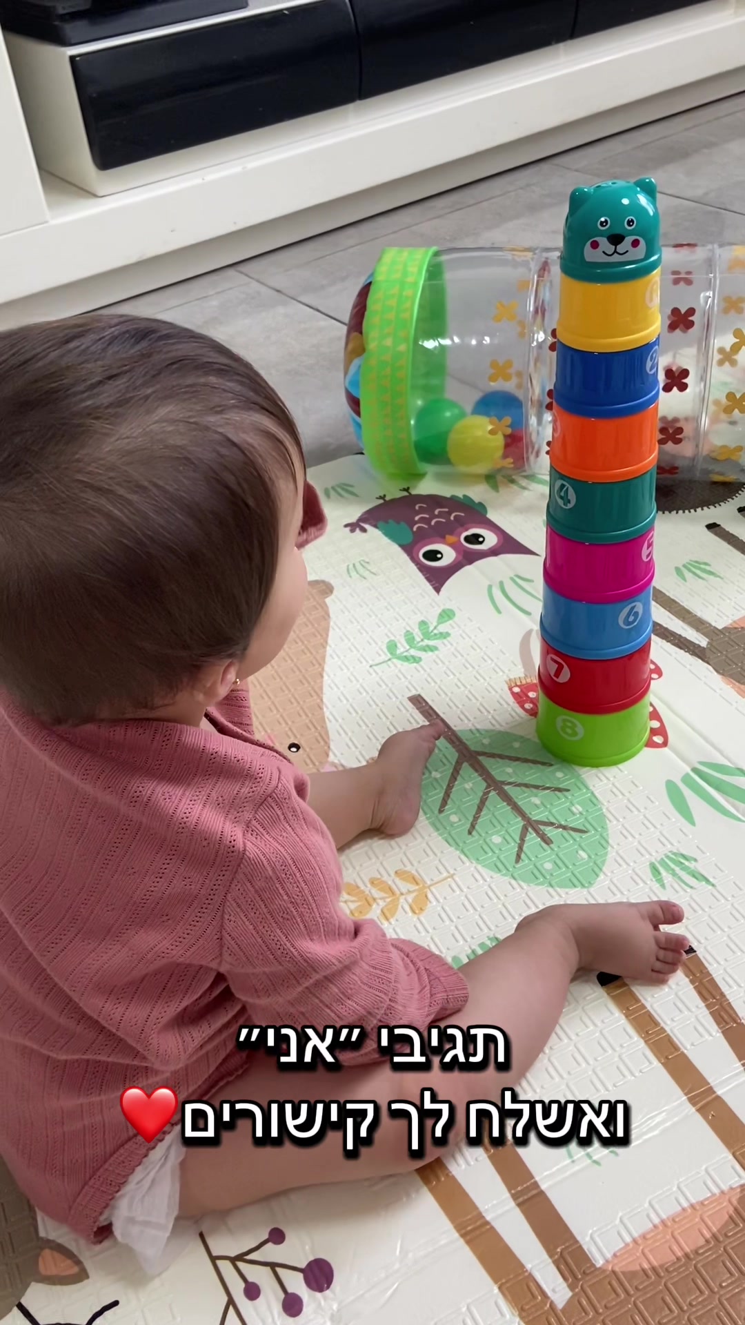 @מאי ארביב