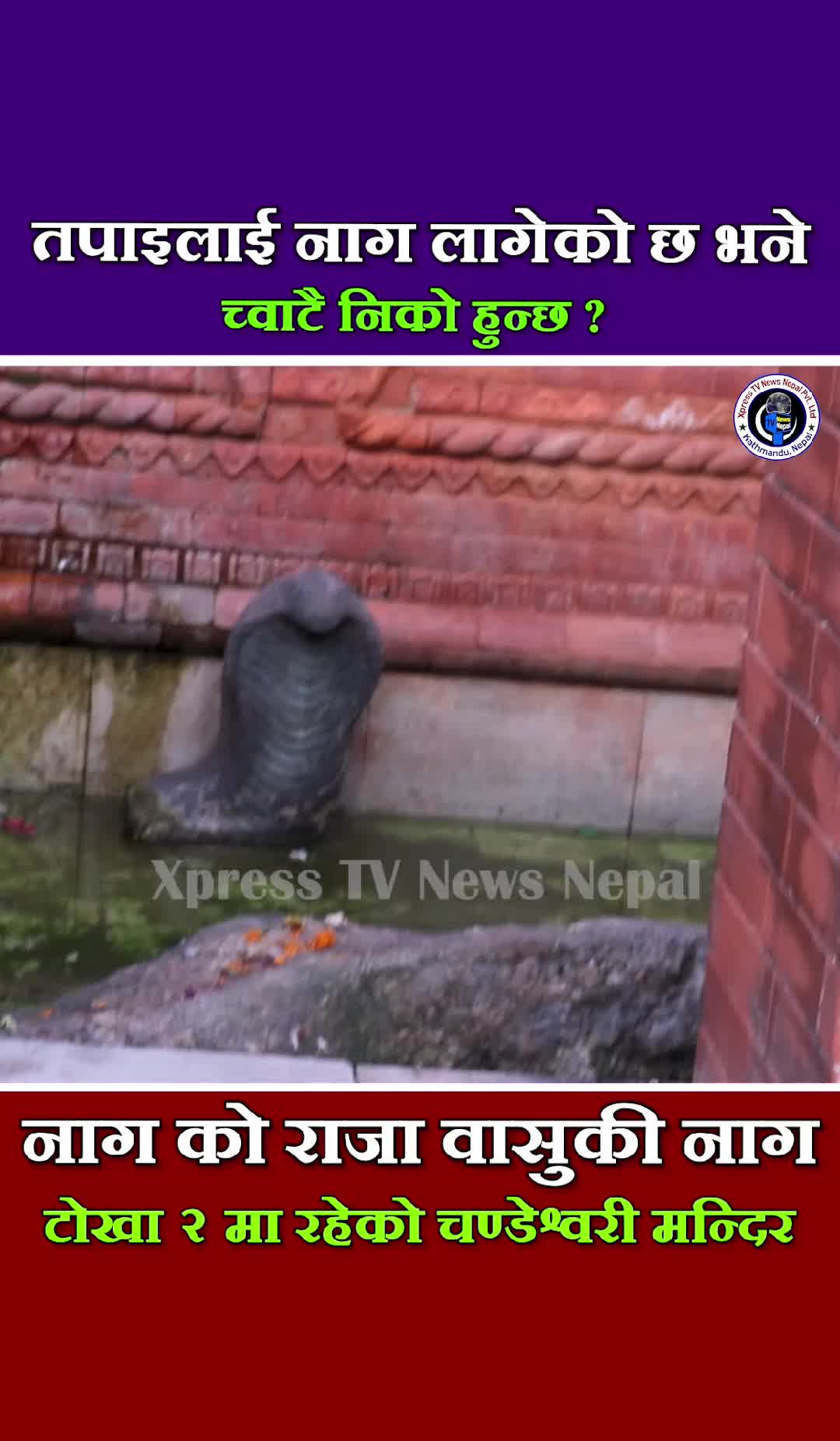 @xpress tv news nepal