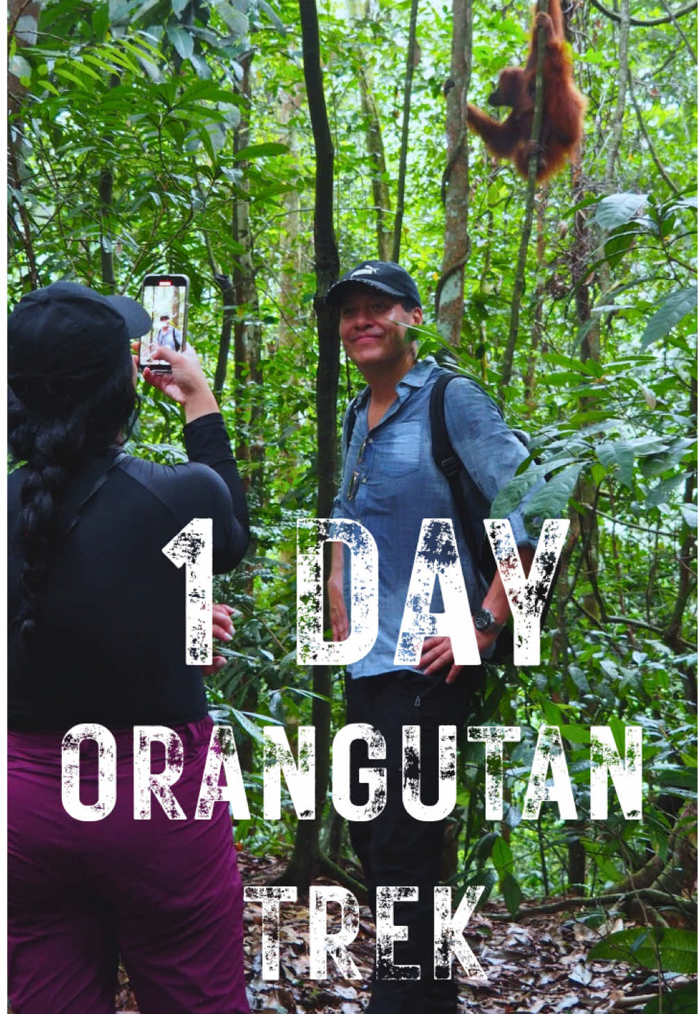 @The Jungle Guide