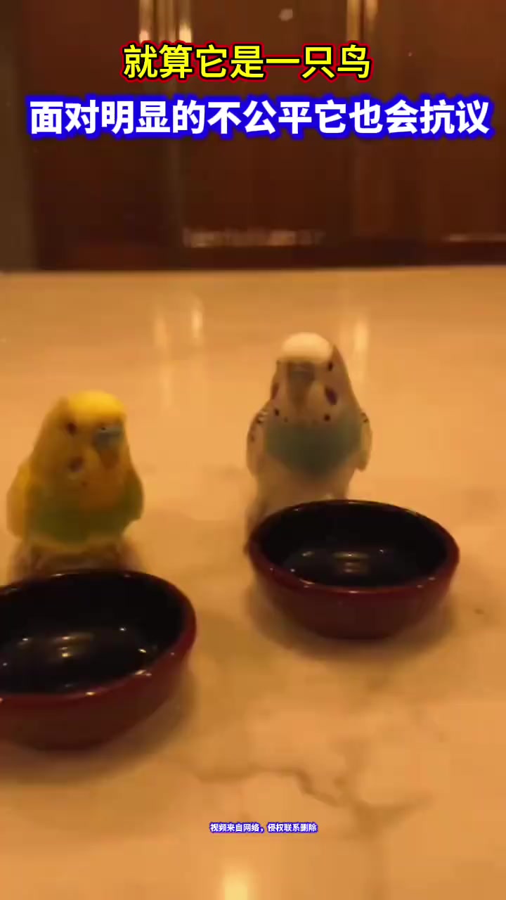 @晃晃悠悠