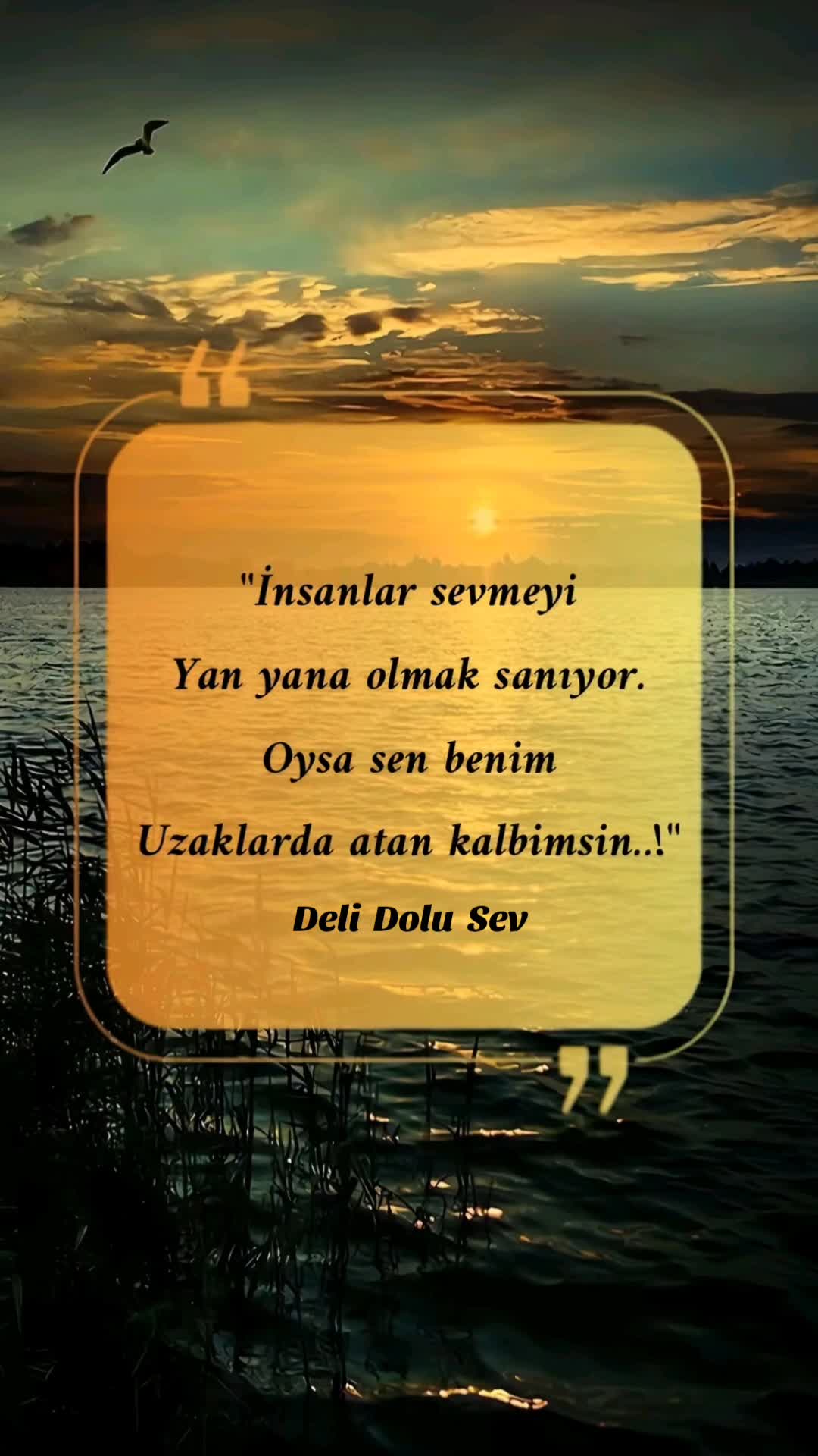 @~ Deli Dolu Sev ~
