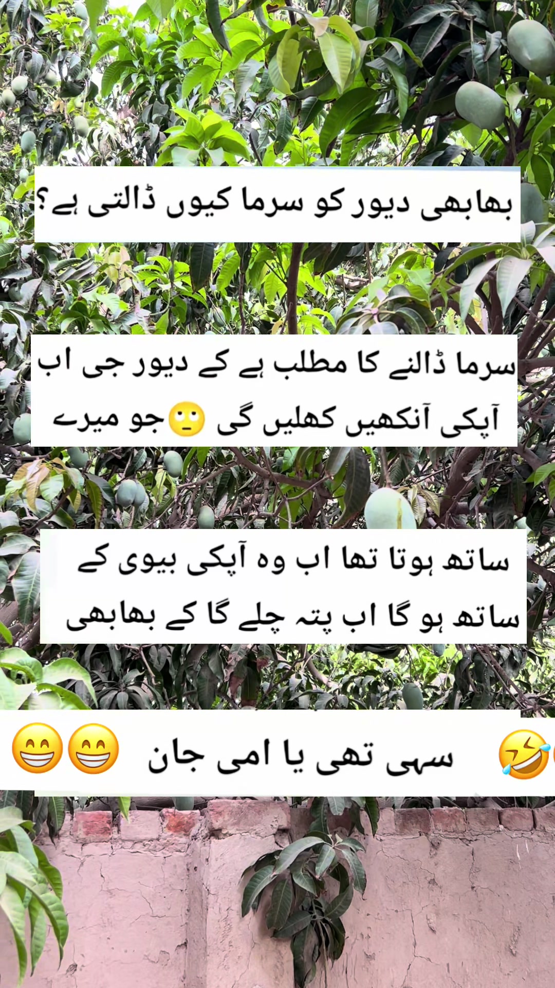 @Layba_66