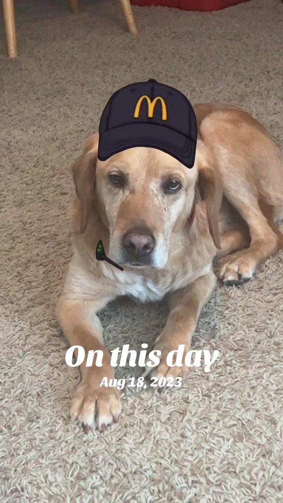 @🧨🐺Treyson_teamwolf🐺🧨