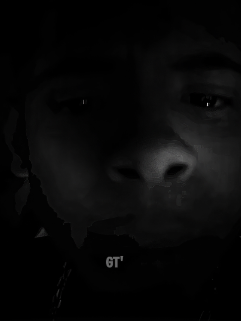 @gt’