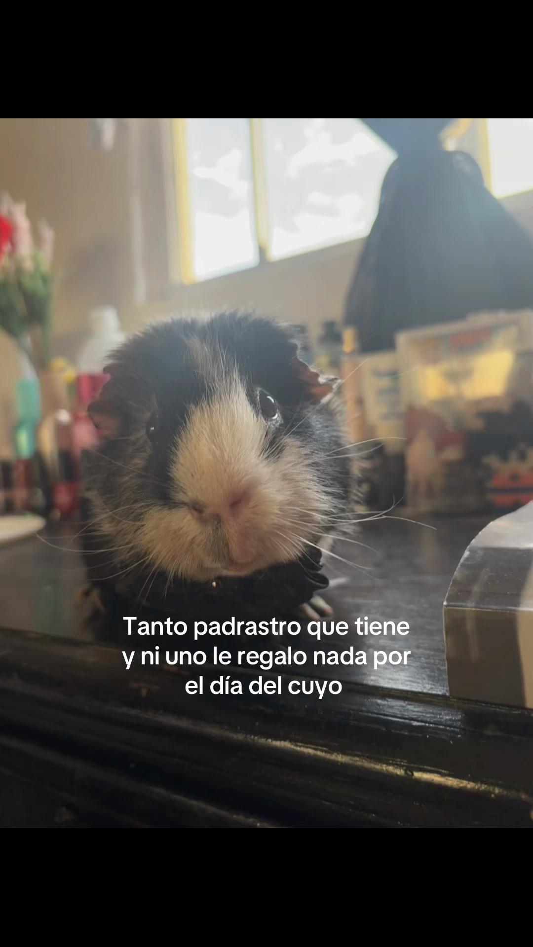 @Karen Quiroz