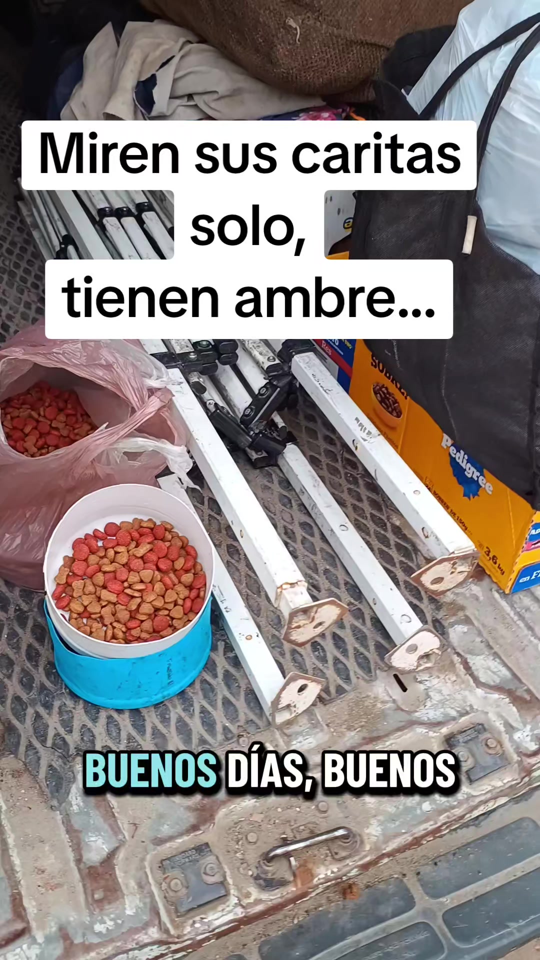 @El compita de los perros