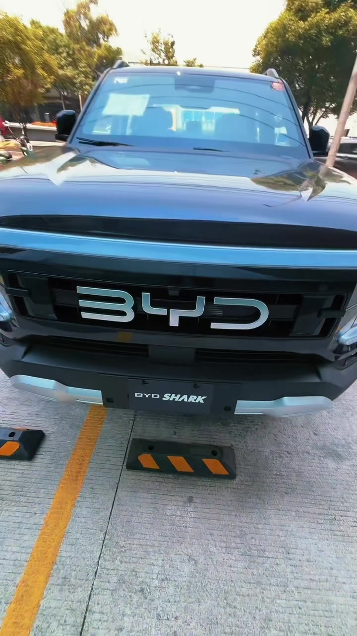 @El Rey de BYD