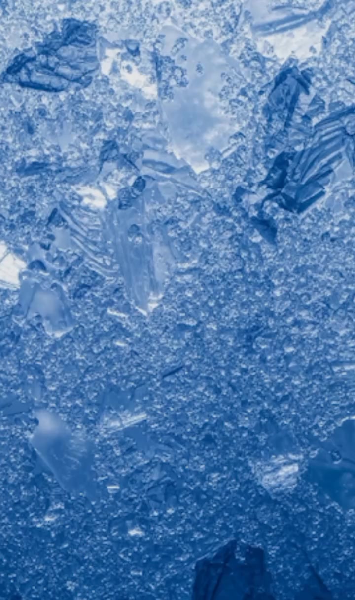 @kamilaitis2