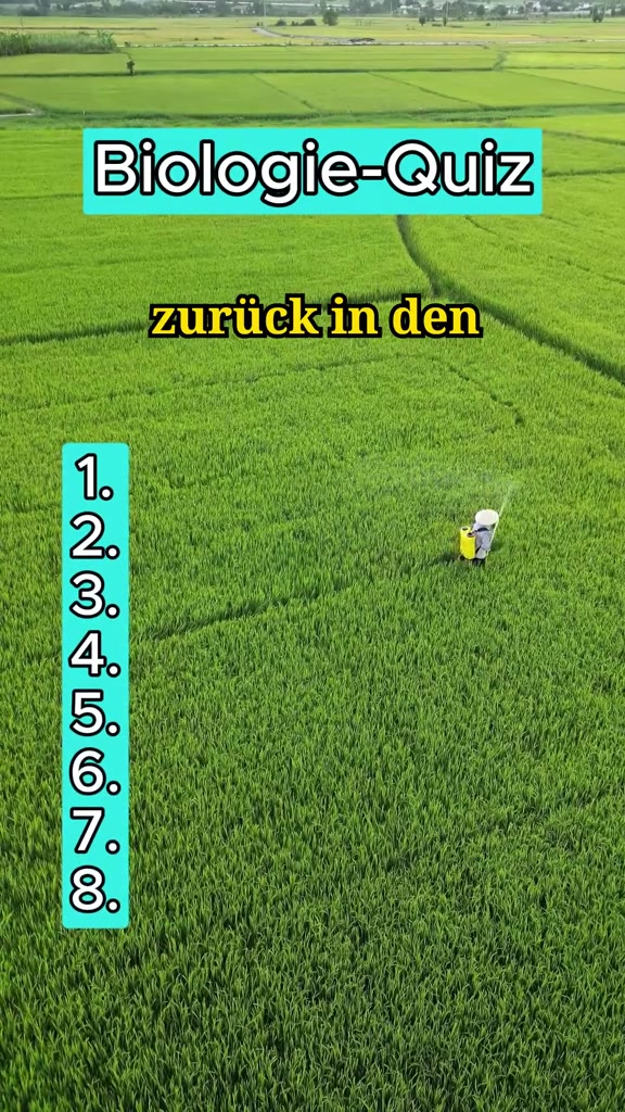 @DailyQuizMaster