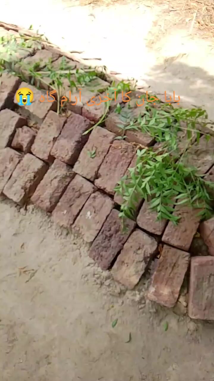 @SALEEM MALIK