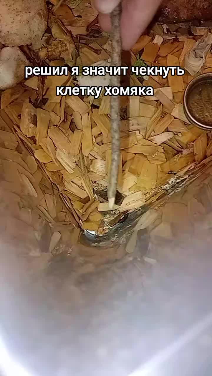 @на аве моя девушка мечты