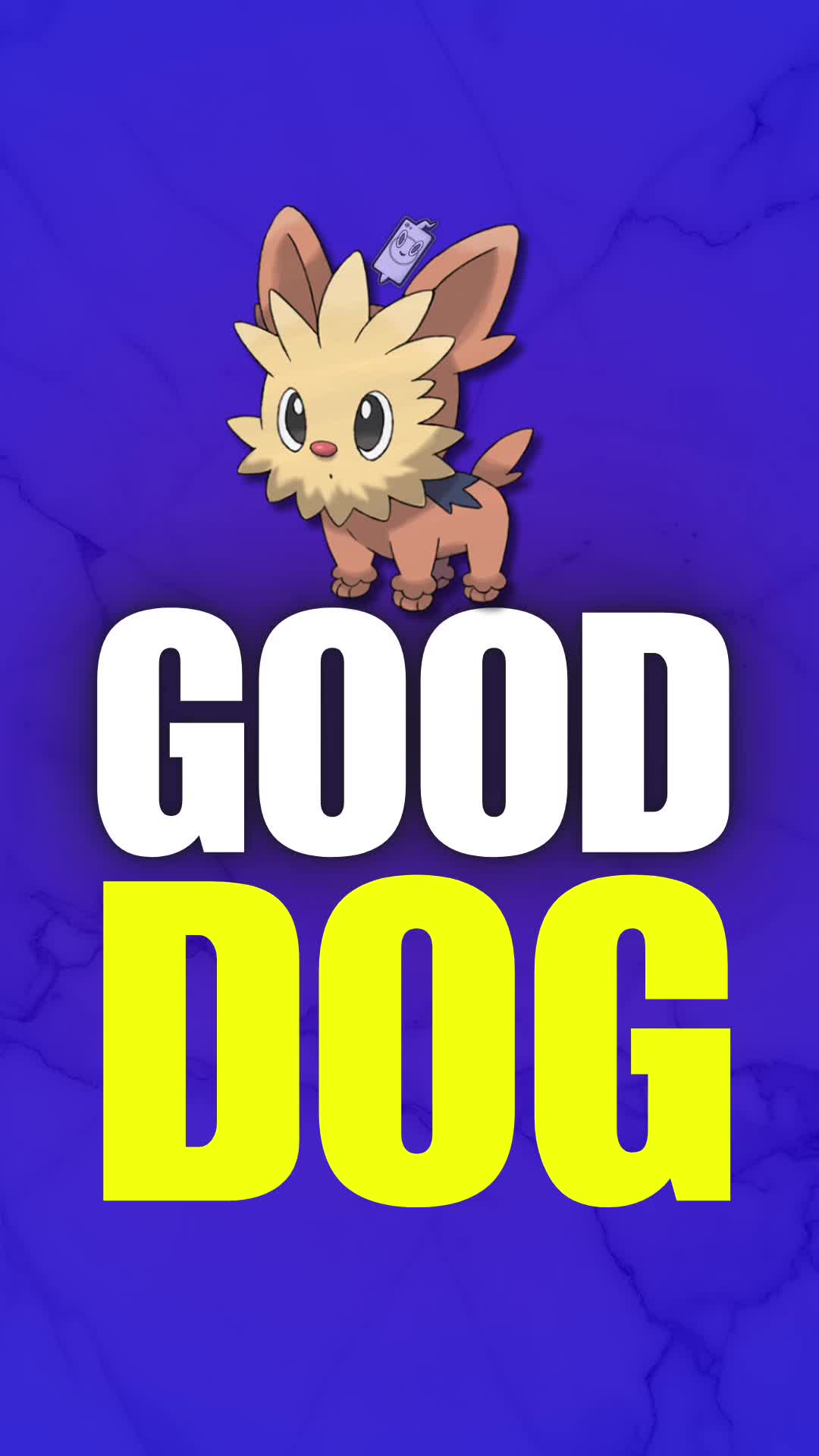 @Daily Pokemon