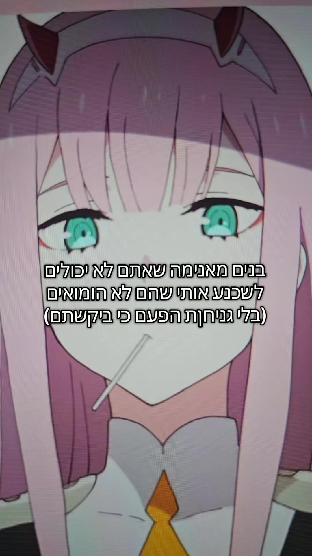 @shira-sama🩷