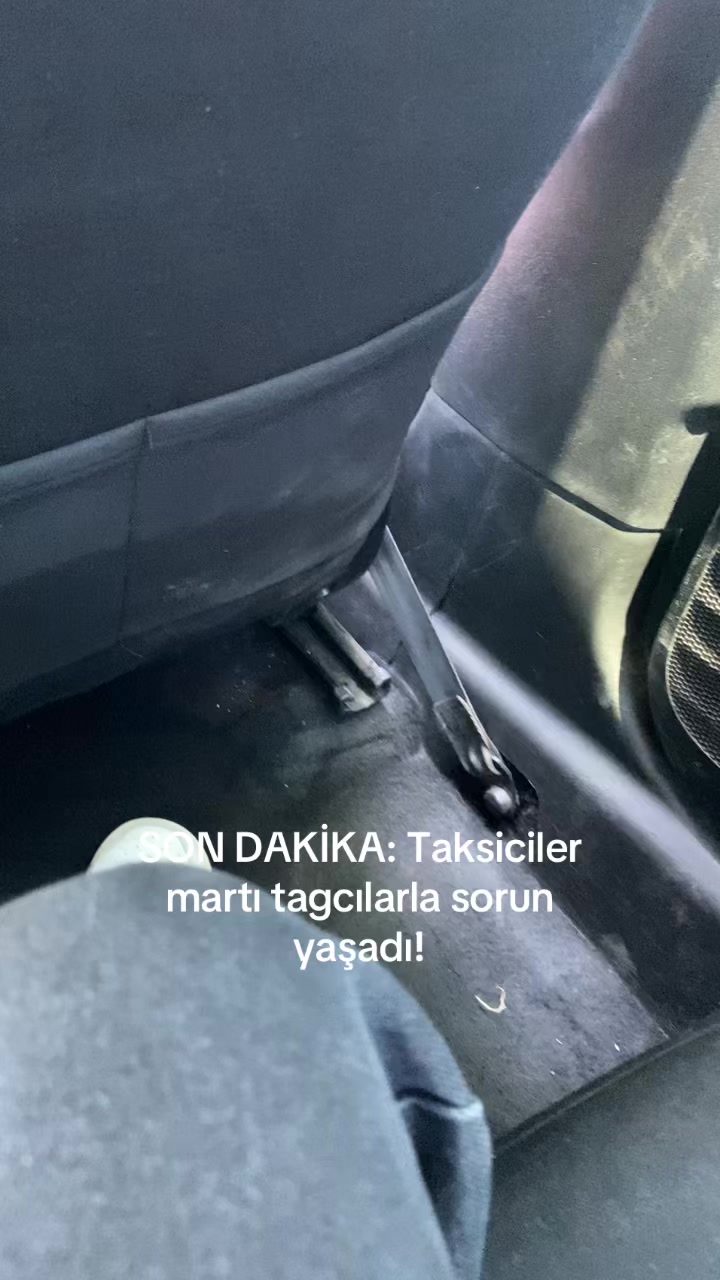 @Mahallefamilya