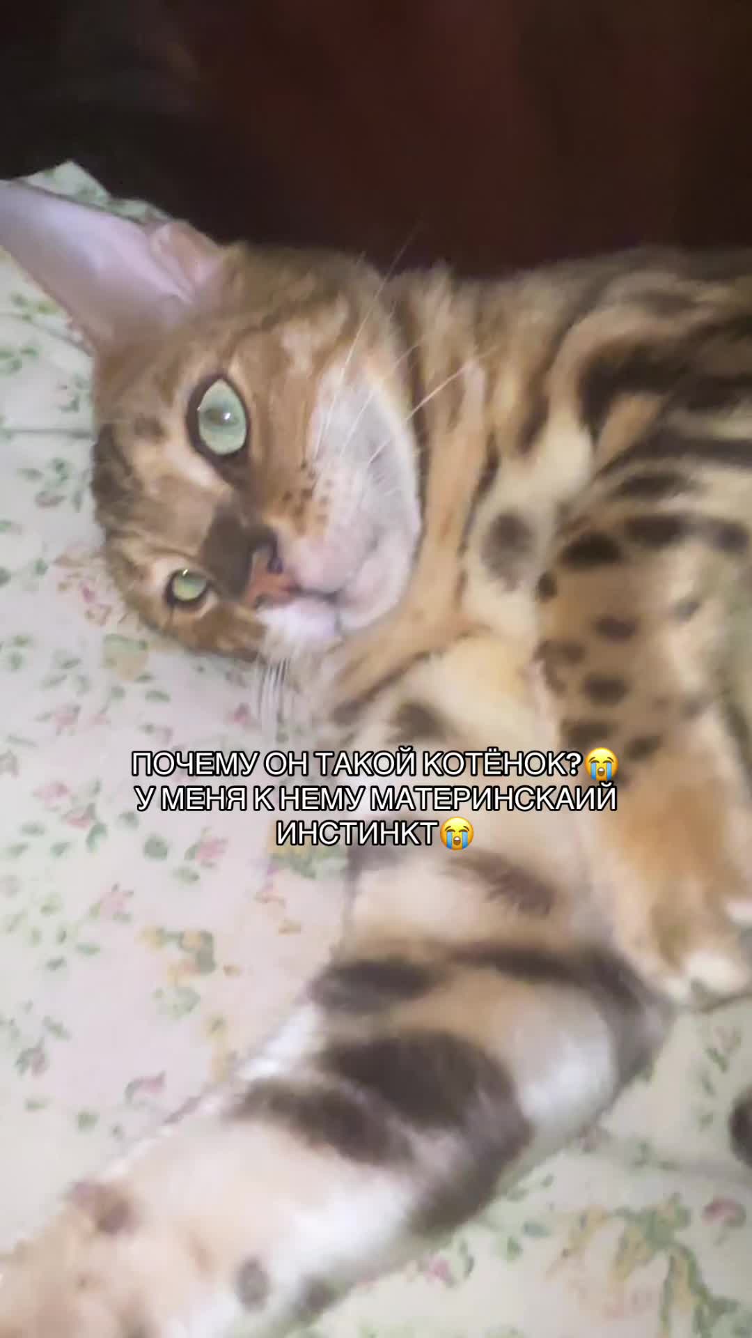 @Онтон