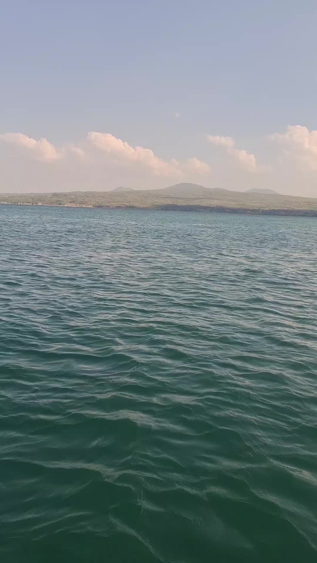 @Hasmik