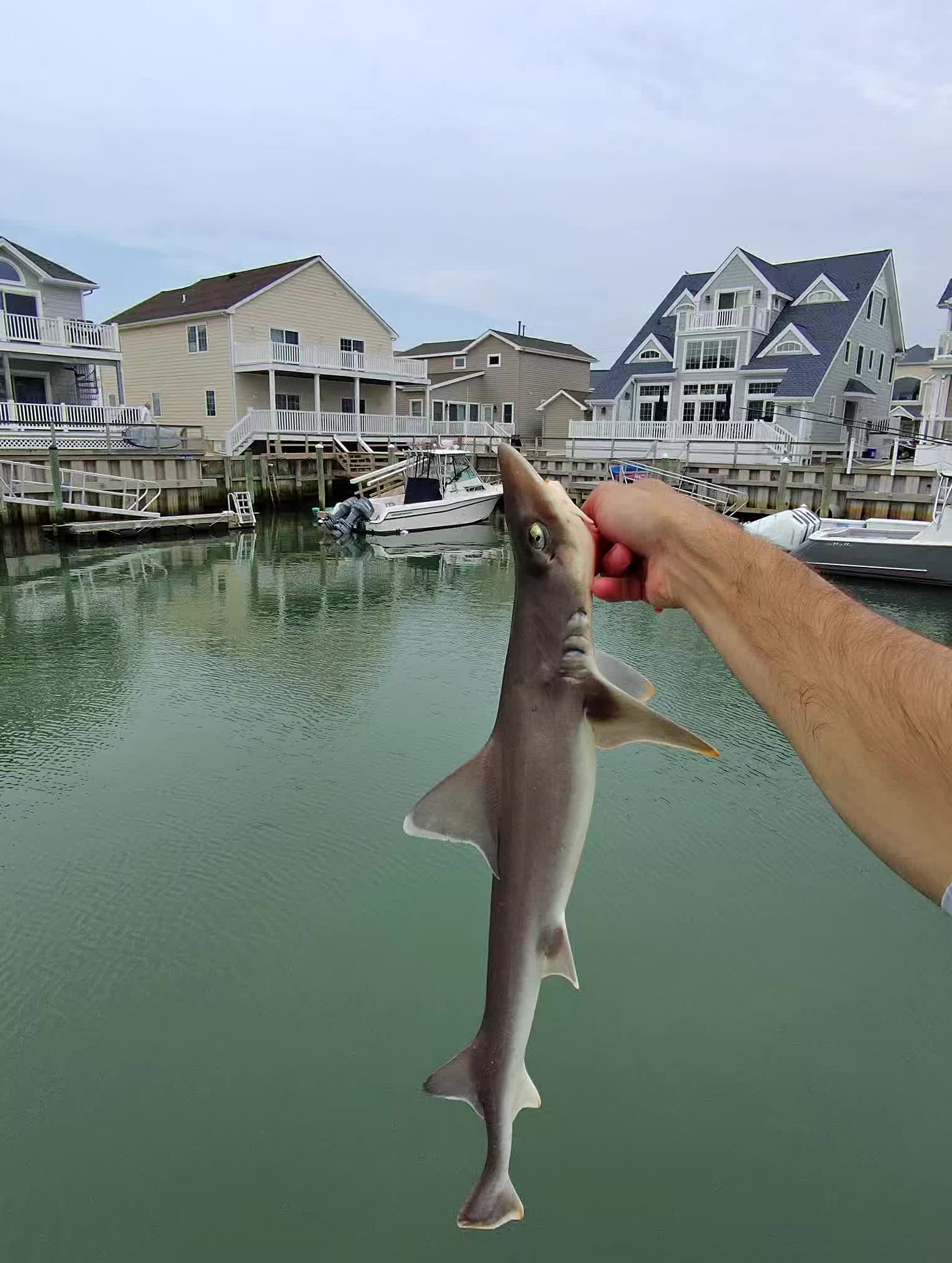 @B. A. Fishing
